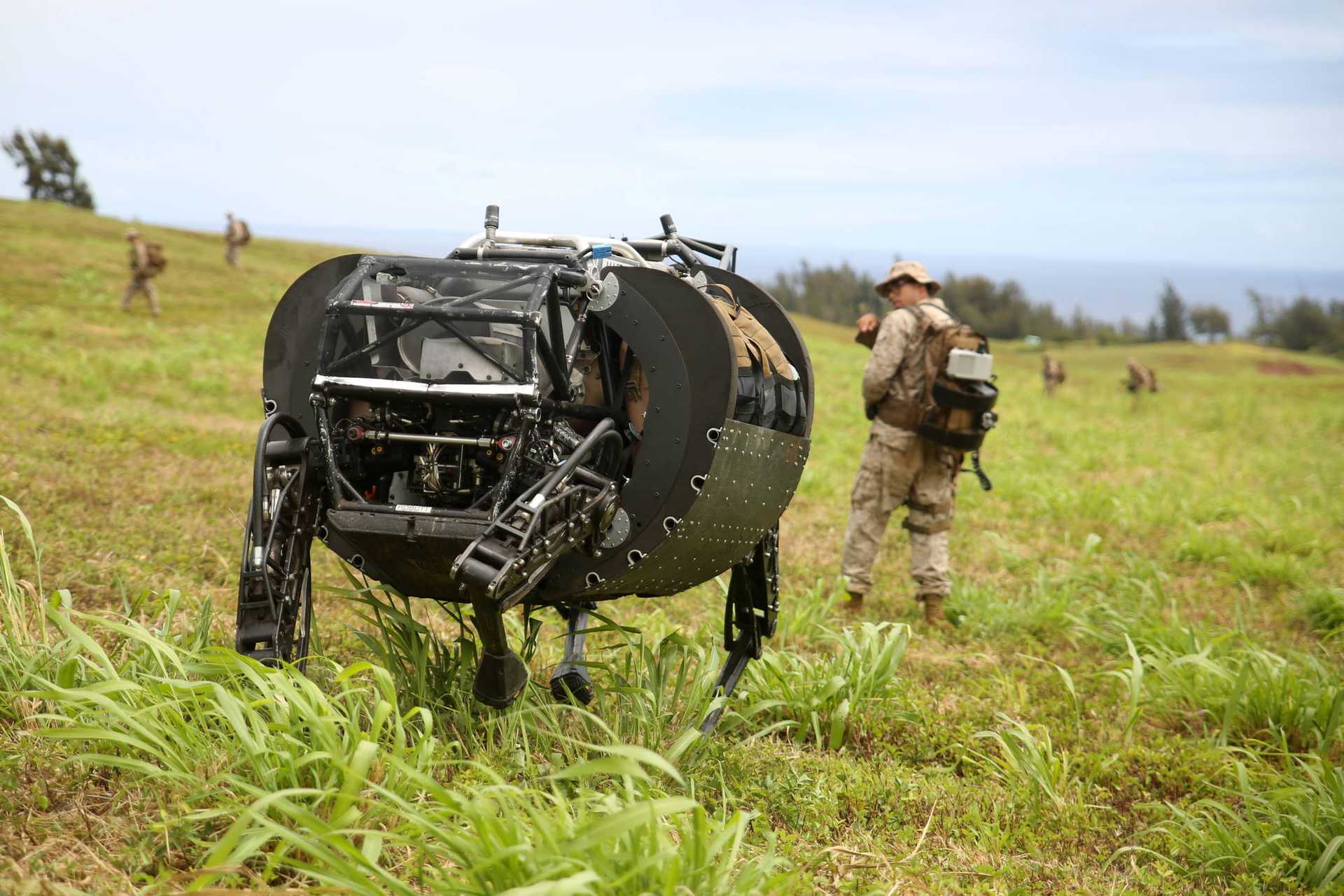 A four-legged robot with a large body and rather thin legs is walking in a meadow with tall grass behind a US soldier with a backpack. It is difficult to estimate the size of the robot from this perspective. More infantrymen can be seen in the background.