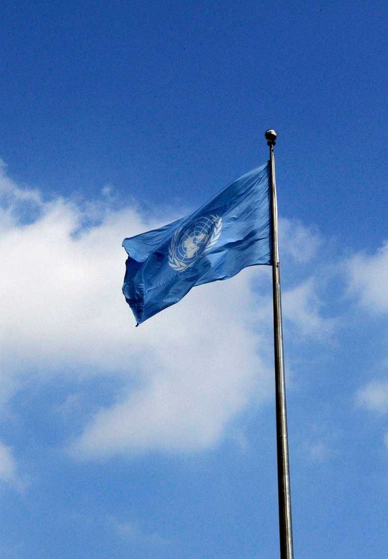 Photo of the UN flag flying in front of blue sky.