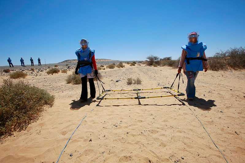 Two demining specialists in blue protective vests and helmets conducting unexploded ordnance clearance operations in Western Sahara, using a metal detection frame on sandy, arid terrain with sparse vegetation under clear blue skies, with additional personnel visible in the background.